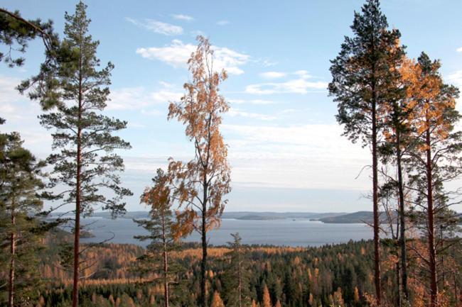 Riihivuori Cottages Muurame Εξωτερικό φωτογραφία